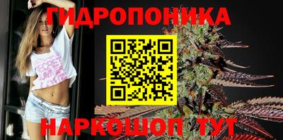 стафф Комсомольск-на-Амуре